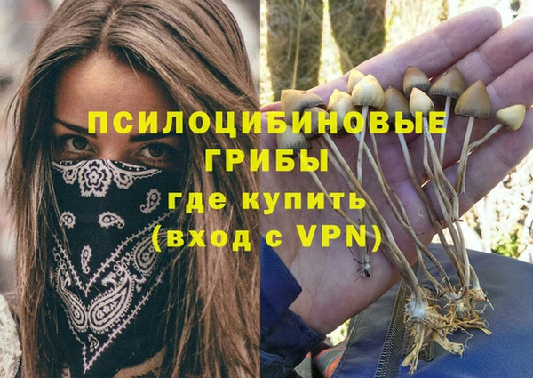 mdpv Вязники