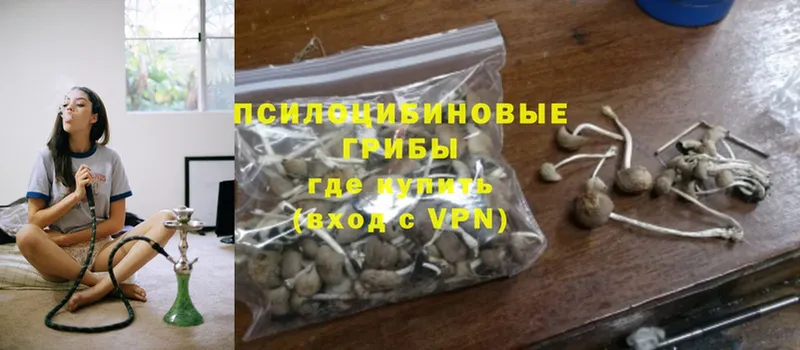 Псилоцибиновые грибы Cubensis  Краснотурьинск 